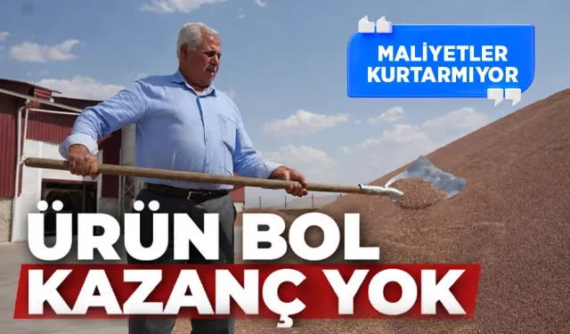 Batman Ovası’nda mercimek üreticisi fiyatlara tepkili…