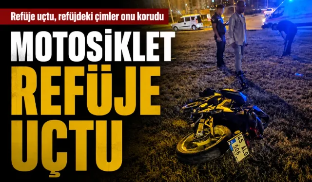 Refüje uçtu, refüjdeki çimler onu korudu
