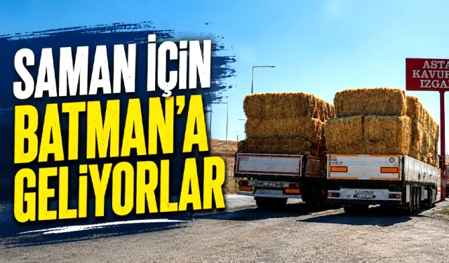 Ucuz saman için Konya ve Malatya’dan geldiler