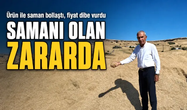 Ürün ile saman bollaştı, fiyat dibe vurdu