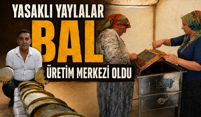 Huzur geldi, bal rekoltesi yüzde 40 arttı…