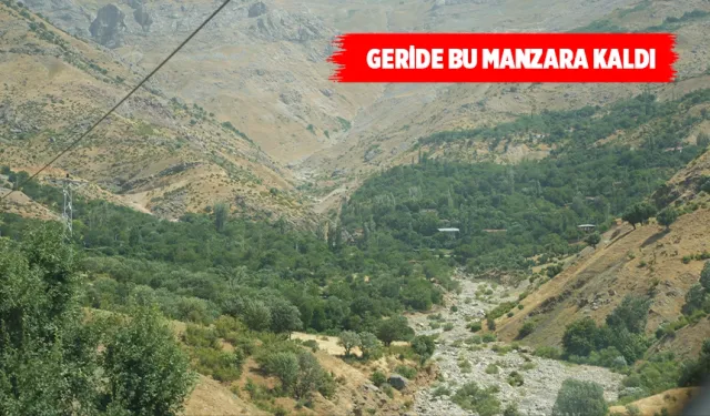 DERELERDE KORKUTAN MANZARALAR