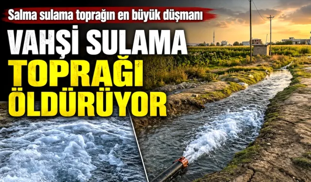 VAHŞİ SULAMA TOPRAĞI ÖLDÜRÜYOR