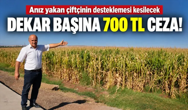 Anız yakan çiftçinin desteklemesi kesilecek