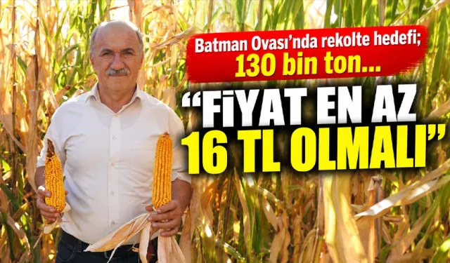 Batman Ovası’nda rekolte hedefi; 130 bin ton…