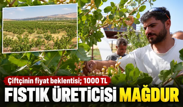 Çiftçinin fiyat beklentisi; 1000 TL