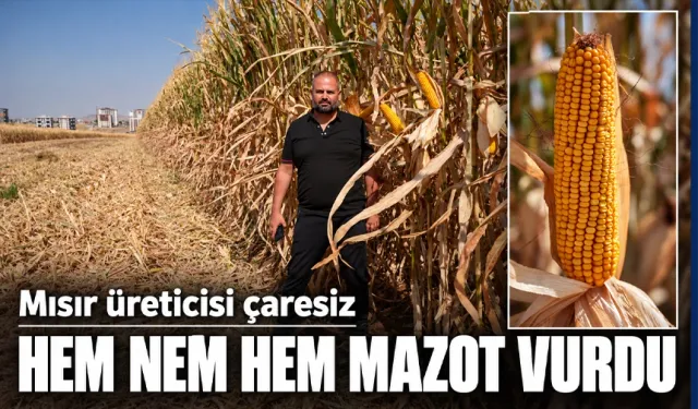 HEM NEM HEM MAZOT VURDU