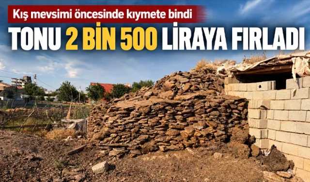Kış mevsimi öncesinde kıymete bindi