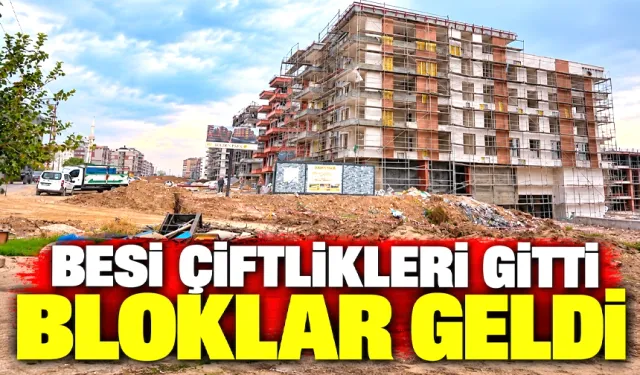 Köydü, Batman’ın modern mahallesi oldu