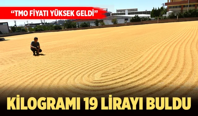 Un fabrika işletmecileri, kara kara düşünüyor