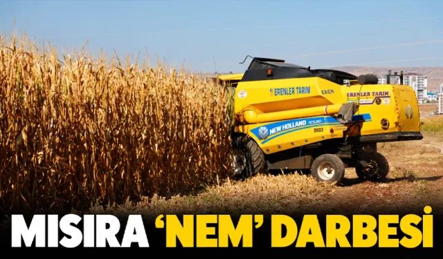 Nem oranının yüksekliği ürün fiyatını düşürdü