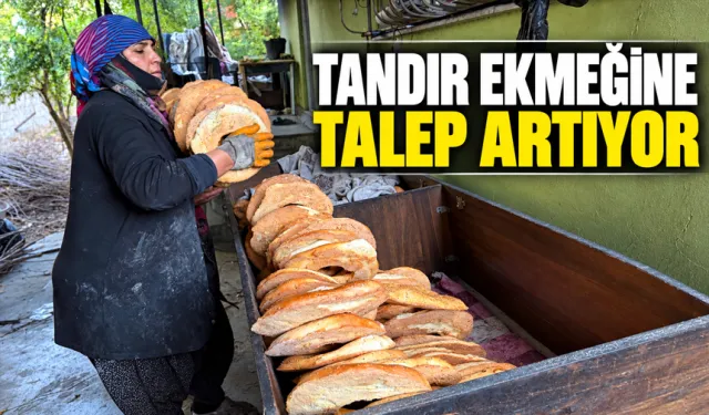 Tandır ekmeği, fırın ekmeğini geçti