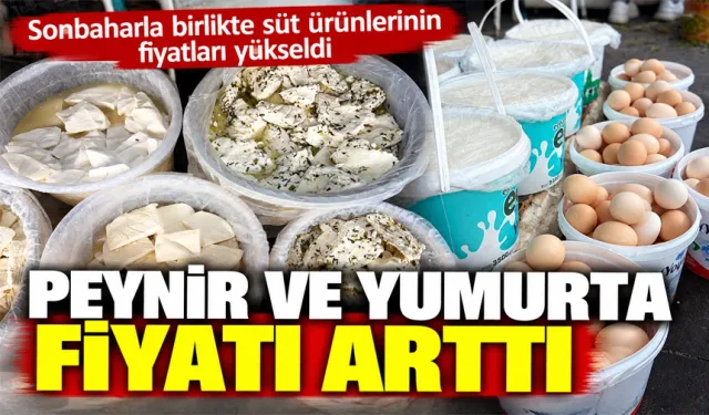 Sonbaharla birlikte süt ürünlerinin fiyatları yükseldi