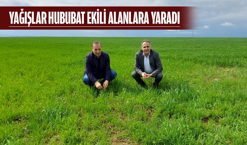 GÖZLER NİSAN YAĞMURUNDA