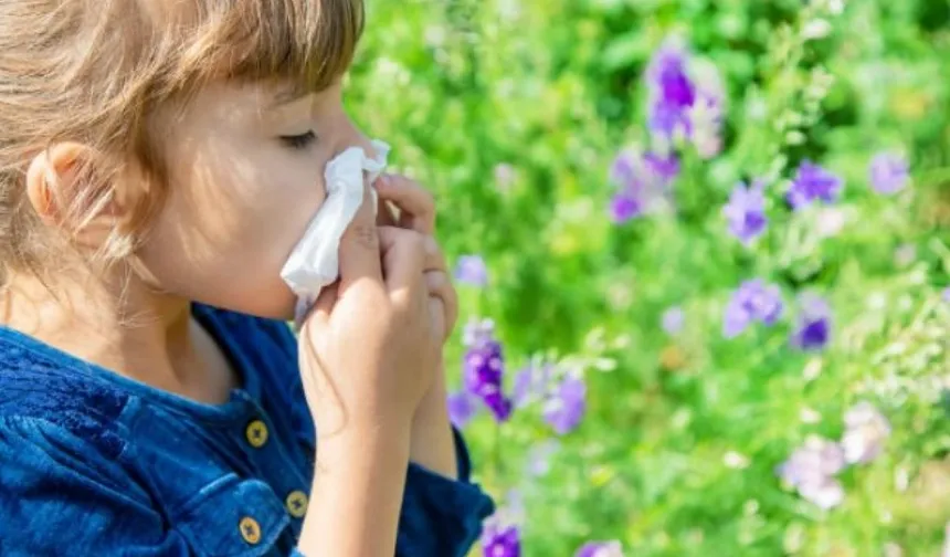 Bahar alerjisine karşı Anadolu propolisi önerisi