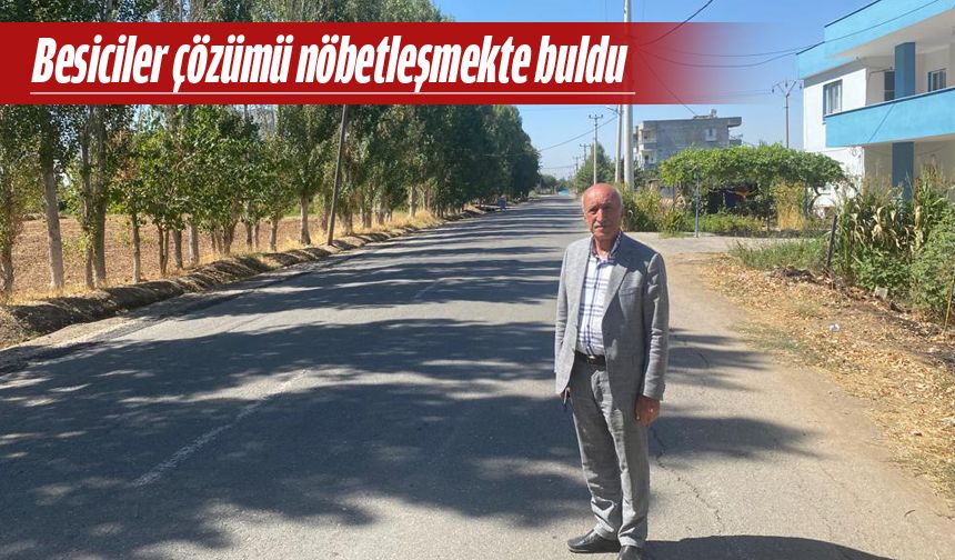 BU BELDE ÇOBAN BULAMIYOR