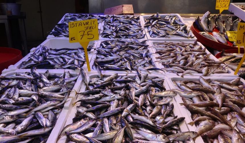 Karadeniz'de balık stokları azalıyor