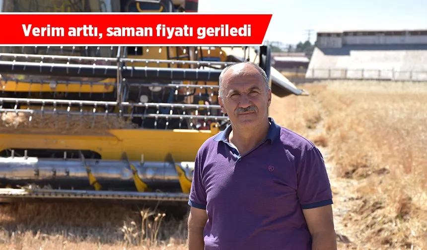 BU YIL SAMAN BOLLUĞU YAŞANACAK