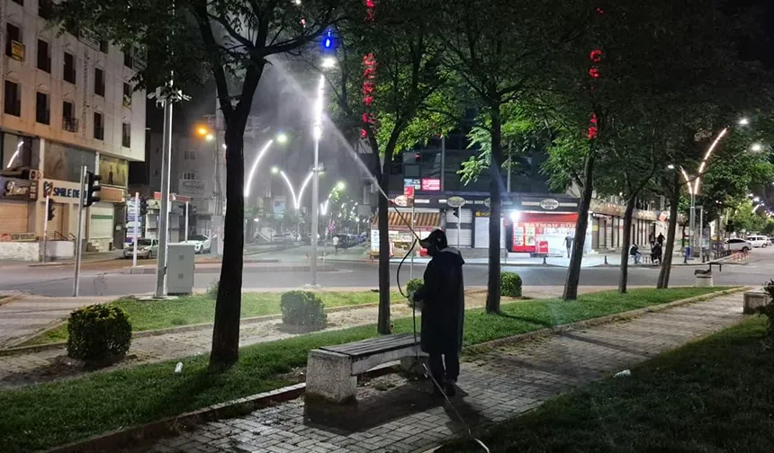 Belediye ilaçlama çalışmalarını geceye kaydırdı