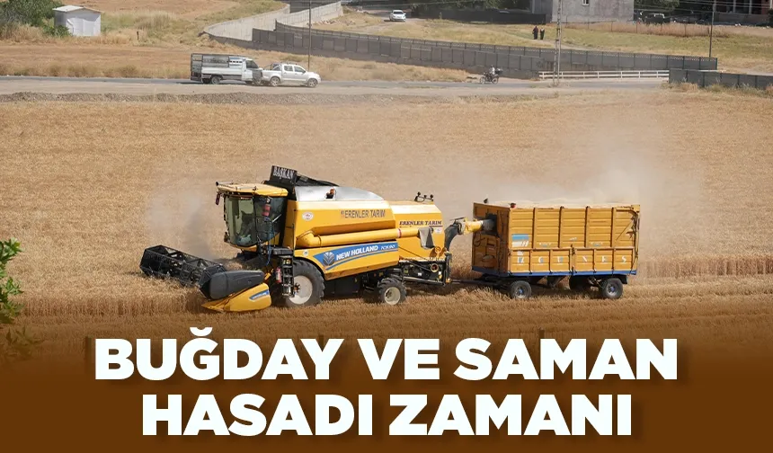 Batman Ovası’nda biçerdöverler tarlada