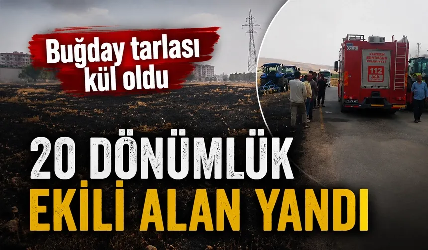 20 DÖNÜMLÜK EKİLİ ALAN YANDI