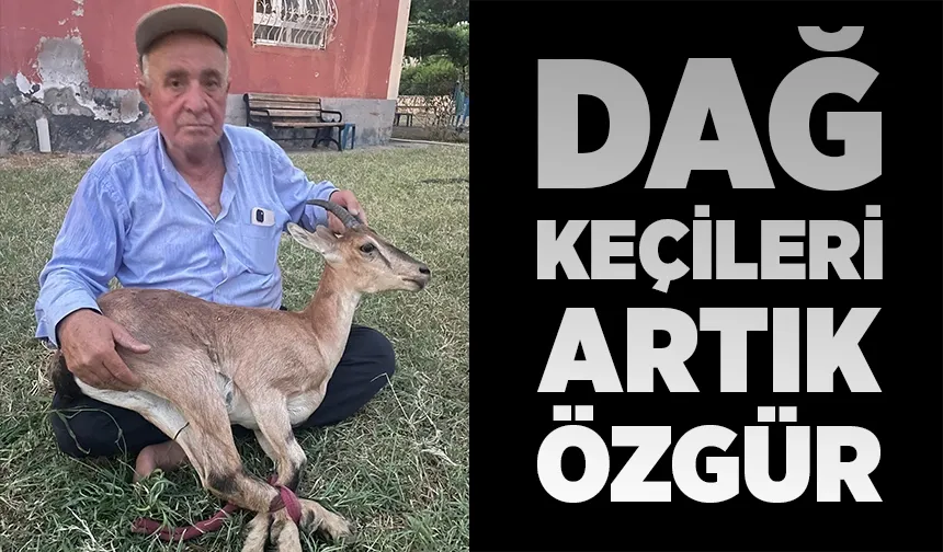 50 Yıl aradan sonra Batıraman’da dağ keçisini gördü
