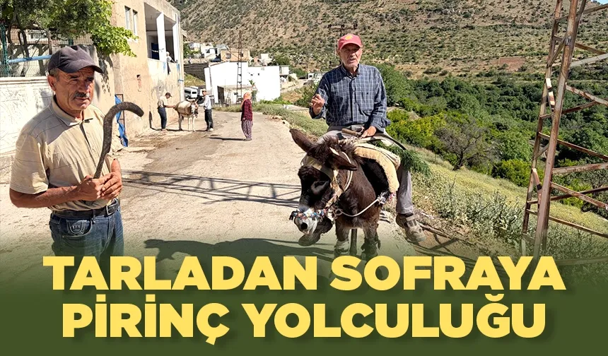 Batman’da coğrafi işaret alan ilk ürün olmuştu