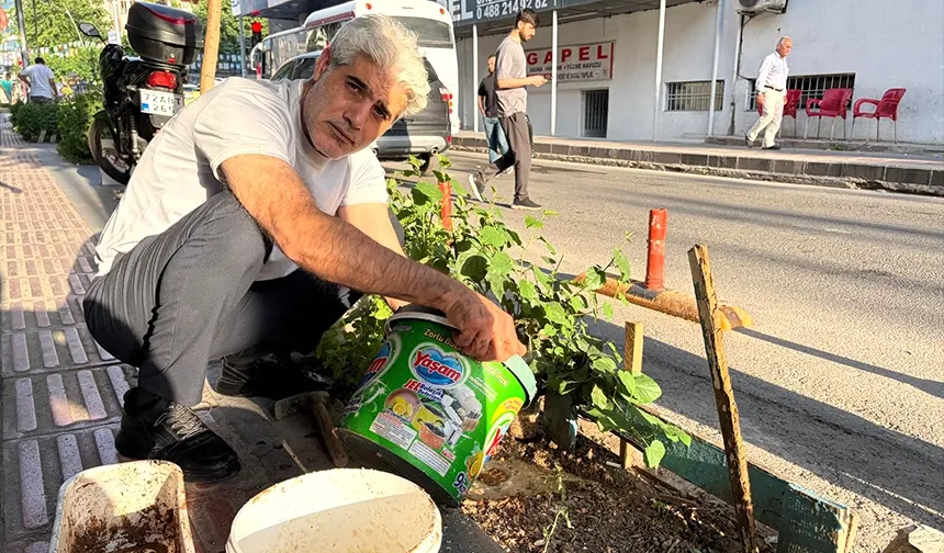 Kaldırımları yeşil tutan kuaför