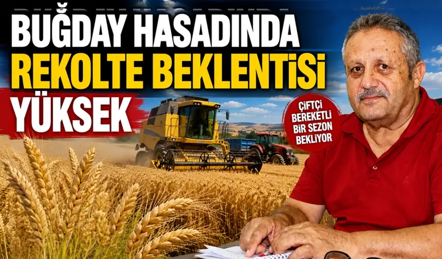 Ziraat Odası Başkanı Aydiş, verimin iyi gözüktüğünü söyledi