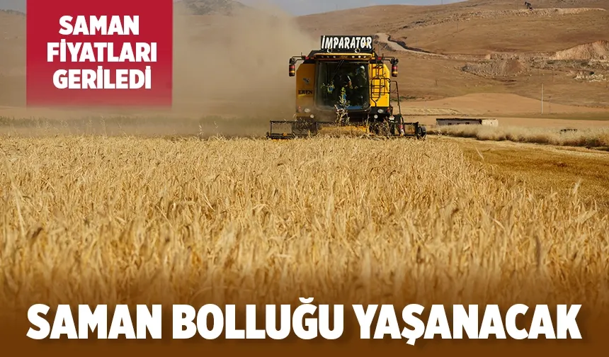 Saman fiyatı son yılların en düşük seviyesine düştü