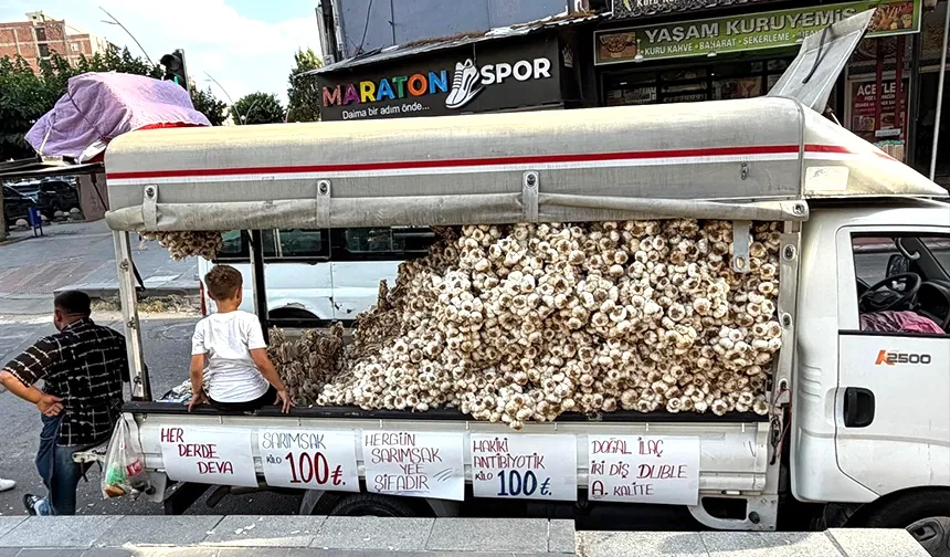 KASTAMONU SARIMSAĞI KAPIŞILIYOR