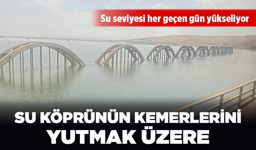 SU KÖPRÜNÜN KEMERLERİNİ YUTMAK ÜZERE