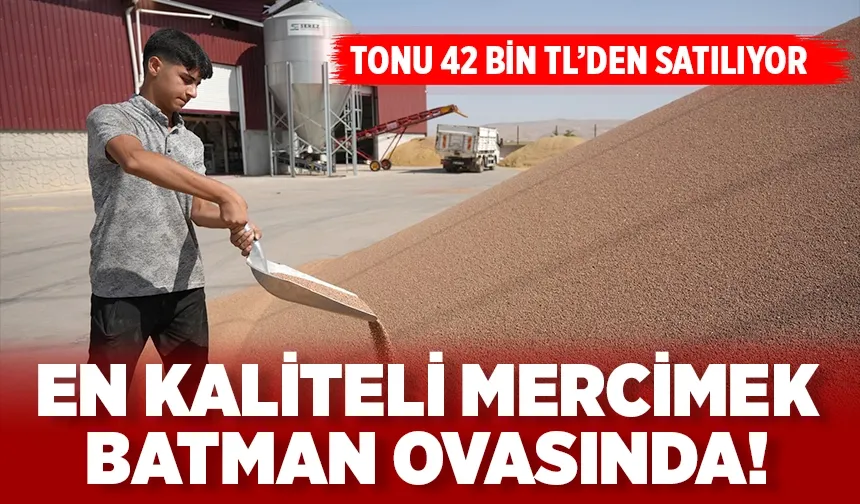 Batman’ın kaliteli kırmızı mercimeği, Mersin ve Gaziantep’e gönderiliyor