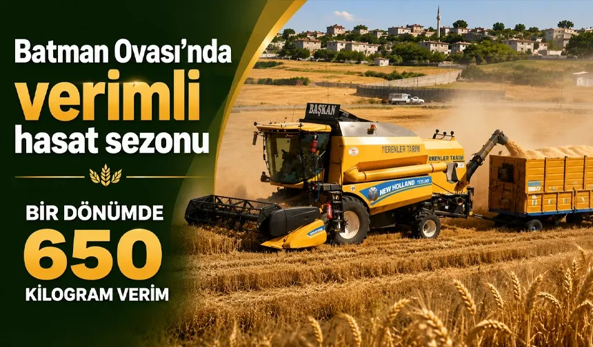 Batman Ovası’nda verimli hasat sezonu