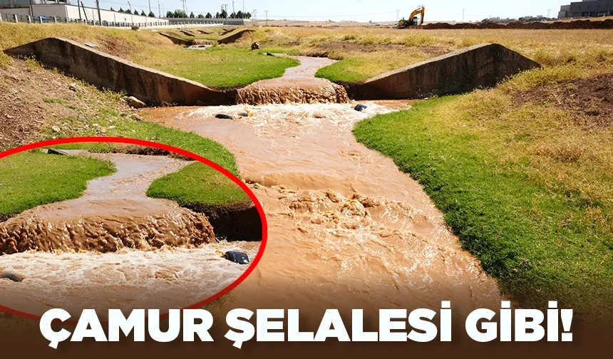 Batman'da vahşi sulamanın fotoğrafı…