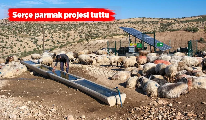KIRSALDAKİ HAYVANLARA CAN SUYU