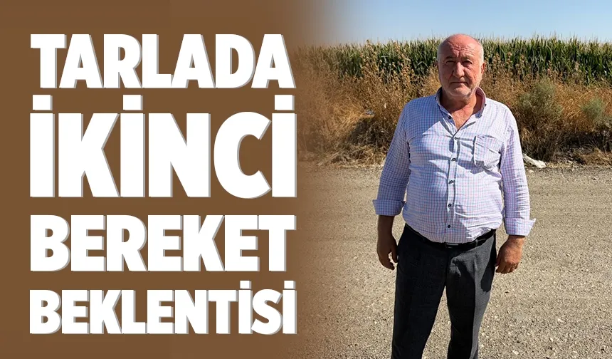 Hububat hasadından sonra sıra mısır ekiminde