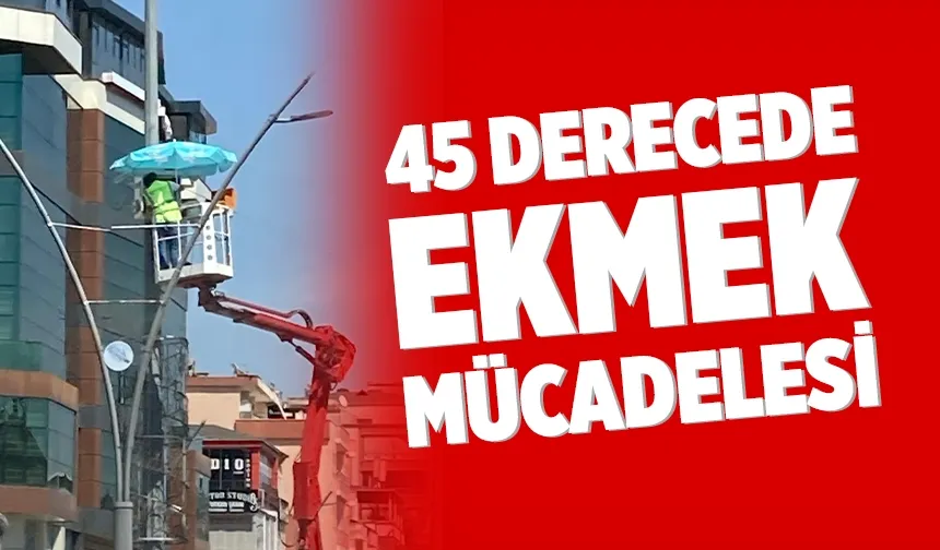 45 DERECEDE EKMEK MÜCADELESİ