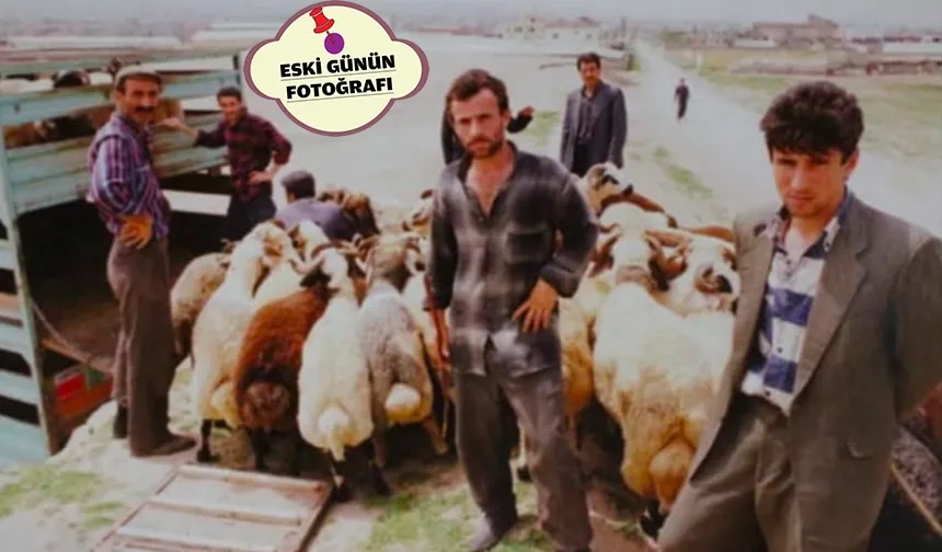 34 YILDA NEREDEN NEREYE?