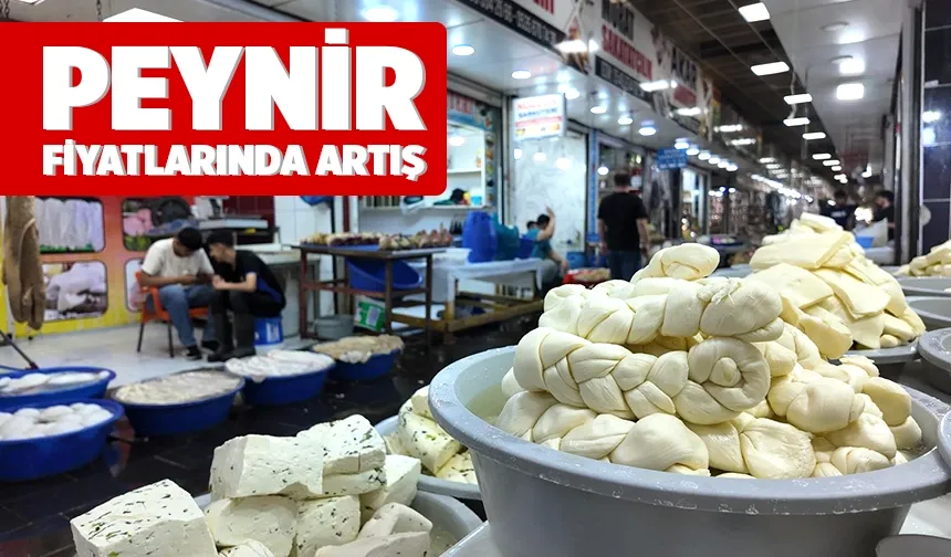 Göçerler yaylalara çıktı, süt ürünlerinin fiyatı arttı