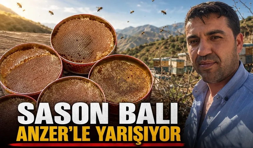 SASON BALI ANZER’LE YARIŞIYOR