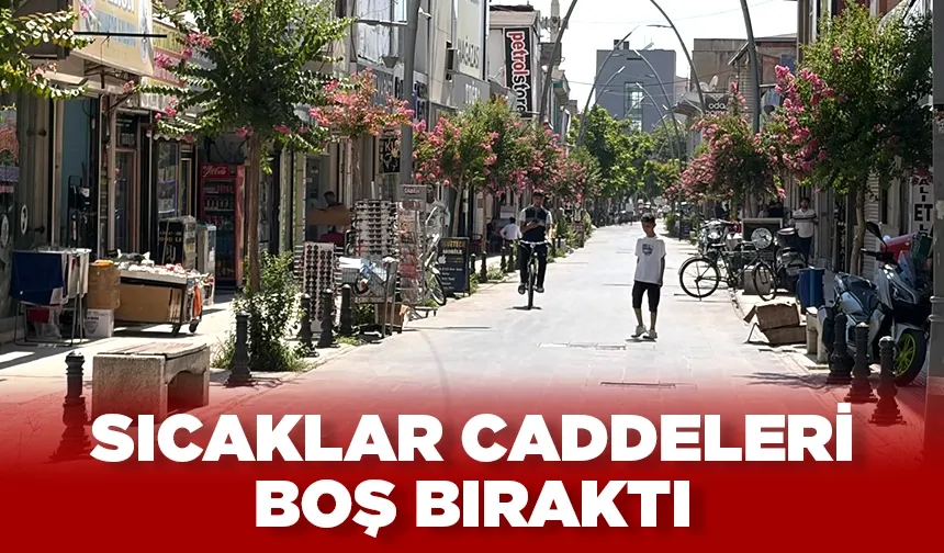Kavurucu sıcaklar, yaşamı olumsuz etkiliyor