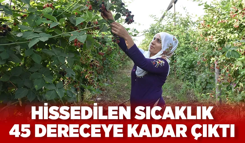 Tarım ve inşaat sektöründe çalışanların zorlu mesaisi