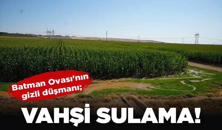 Batman Ovası'nın gizli düşmanı;