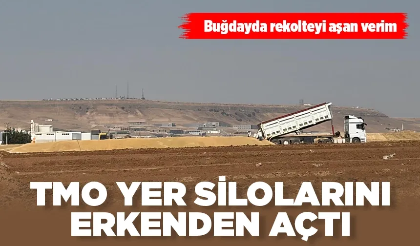 Batman'da buğdayda rekolteyi aşan verim