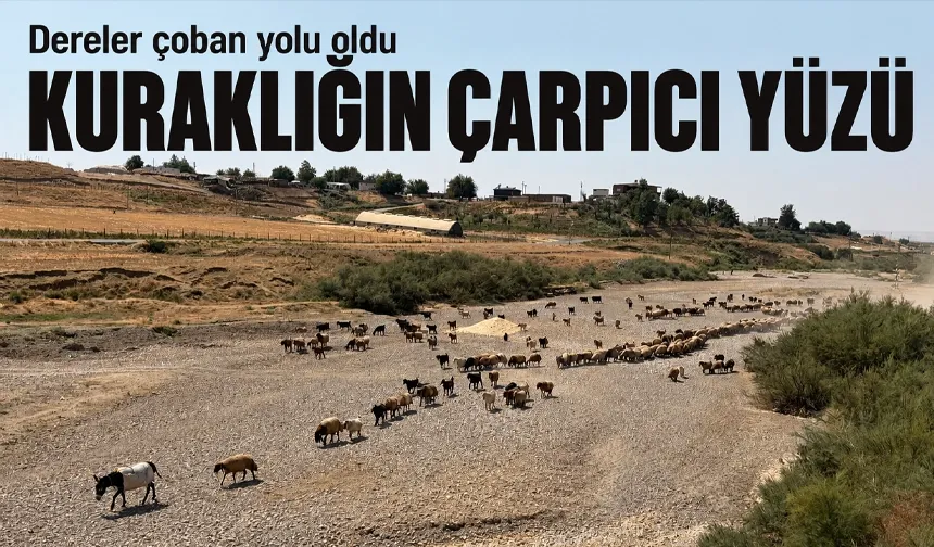 KURAKLIĞIN ÇARPICI YÜZÜ
