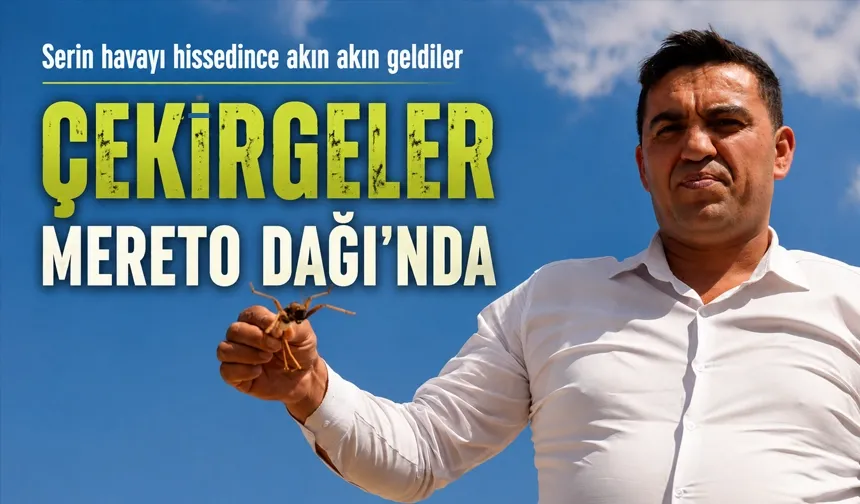 ÇEKİRGELER MERETO DAĞI’NDA