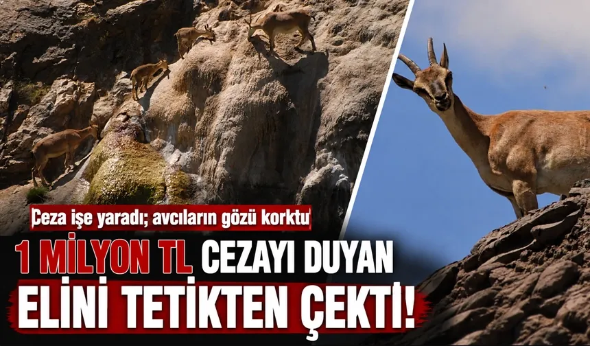 1 MİLYON TL CEZAYI DUYAN ELİNİ TETİKTEN ÇEKTİ!