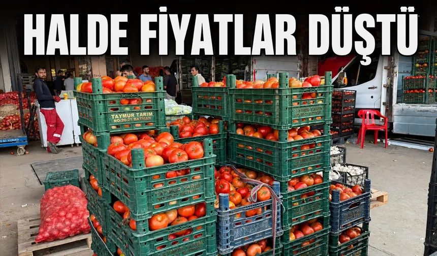Ahlat domatesi fiyatı dengeledi