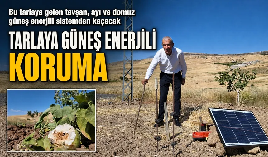 TARLAYA GÜNEŞ ENERJİLİ KORUMA
